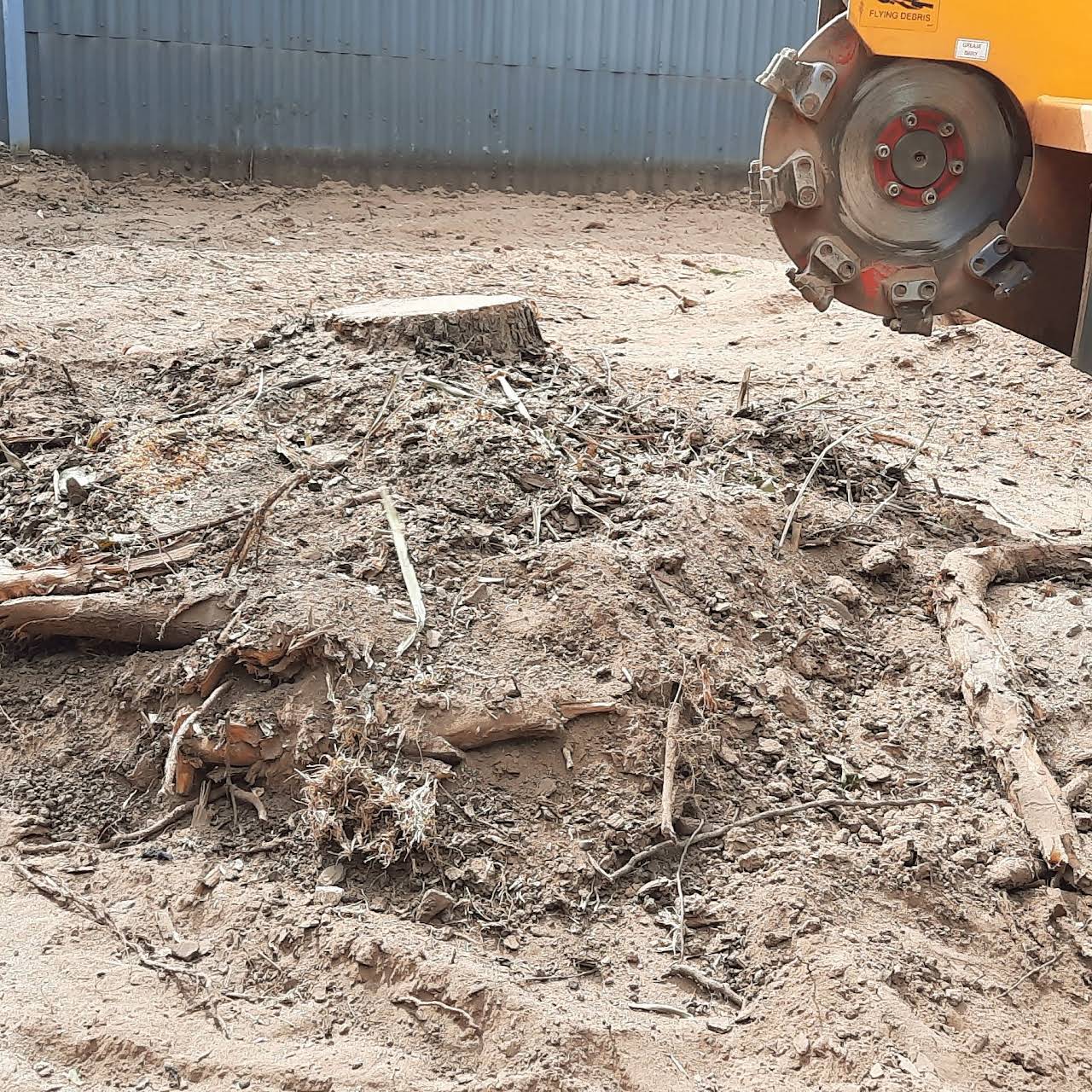 clearing stumps