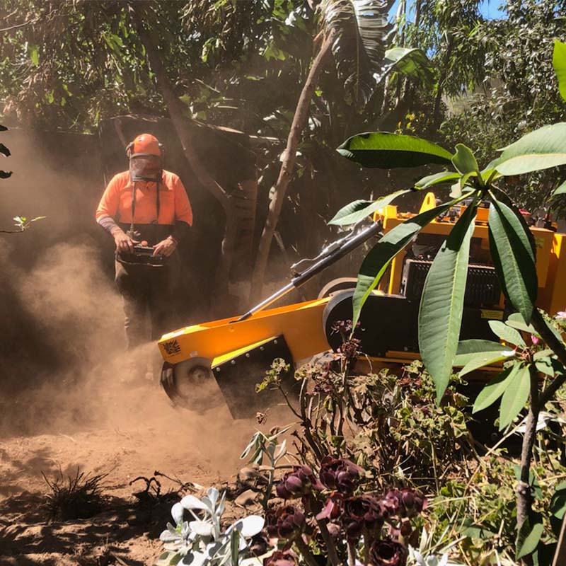 stump grinder