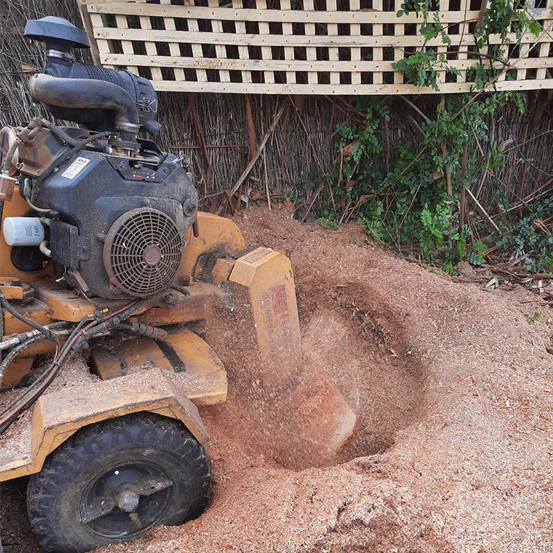 stump grinder