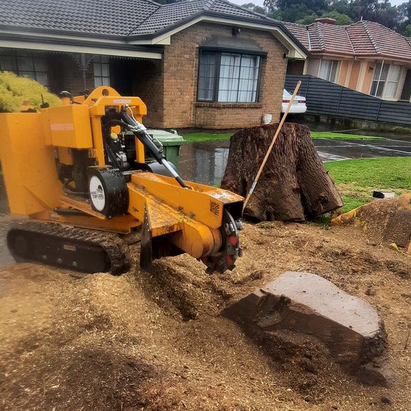 stump removal