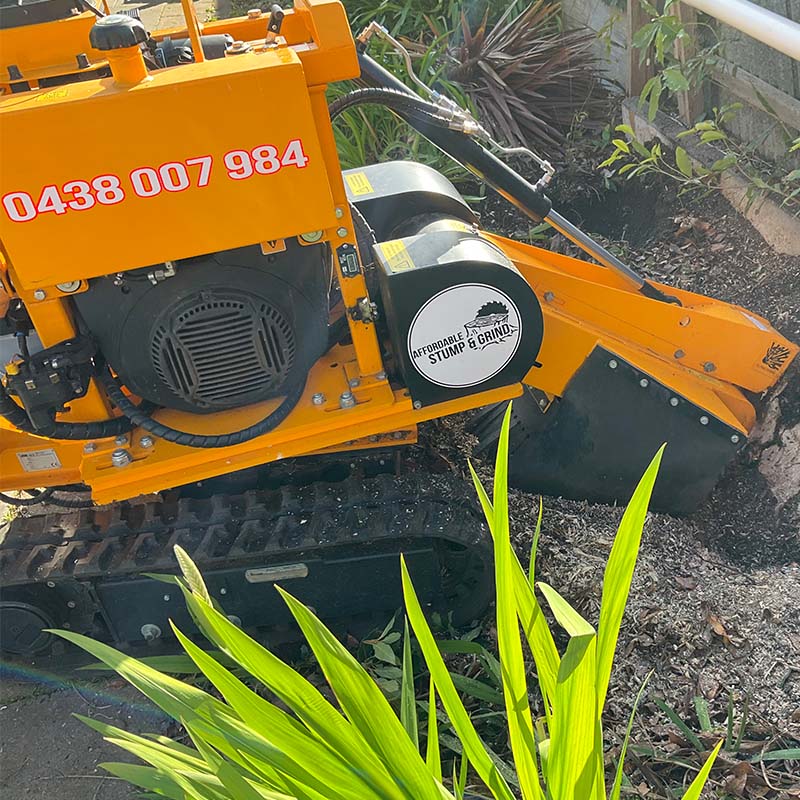 stump_removal
